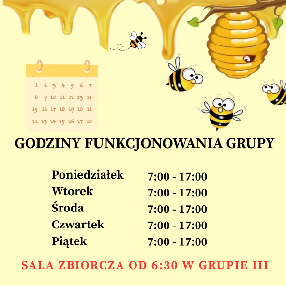 Godziny funkcjonowania grupy