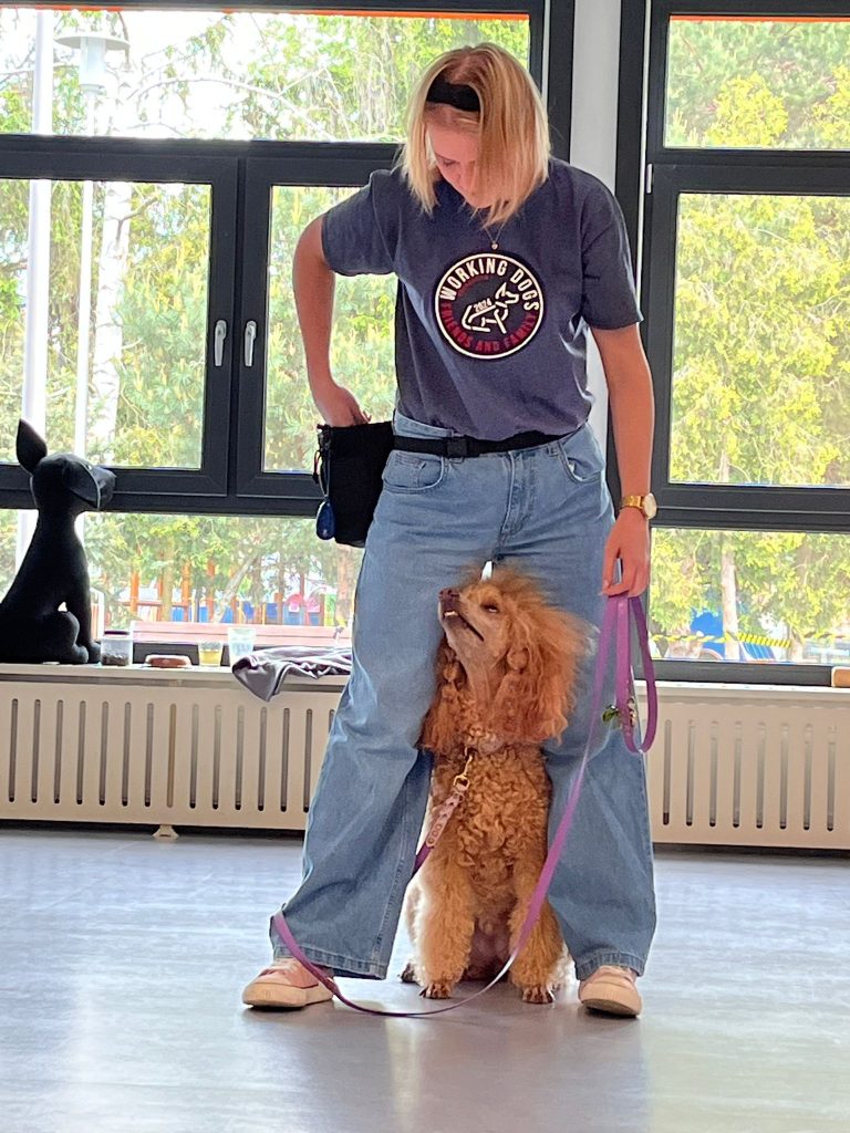 Working dogs- profilaktyka przeciw pogryzieniom