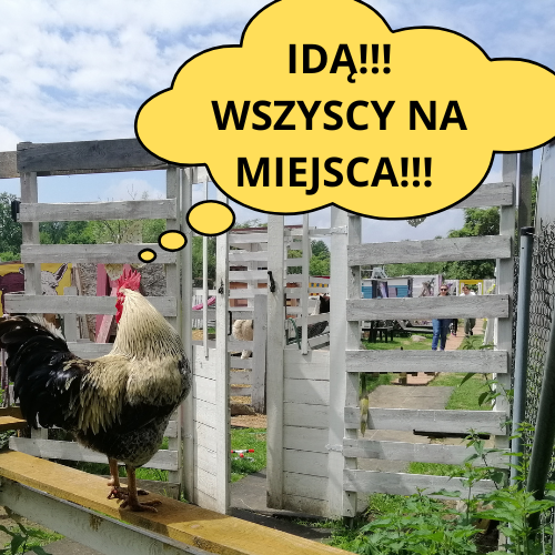 Dzień Dziecka na Ranczo Kaprysek