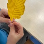 Frotaż jesiennych liści (6)