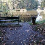 Park Pawłowice 20.10.2025 (1)