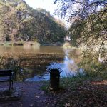 Park Pawłowice 20.10.2025 (2)