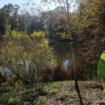 Park Pawłowice 20.10.2025 (3)