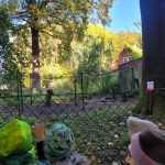 Park Pawłowice 20.10.2025 (5)